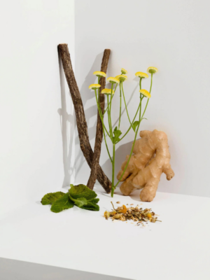 Herbal Blend Organic infusion cocoon te